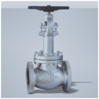 Cryogenic Globe Valve